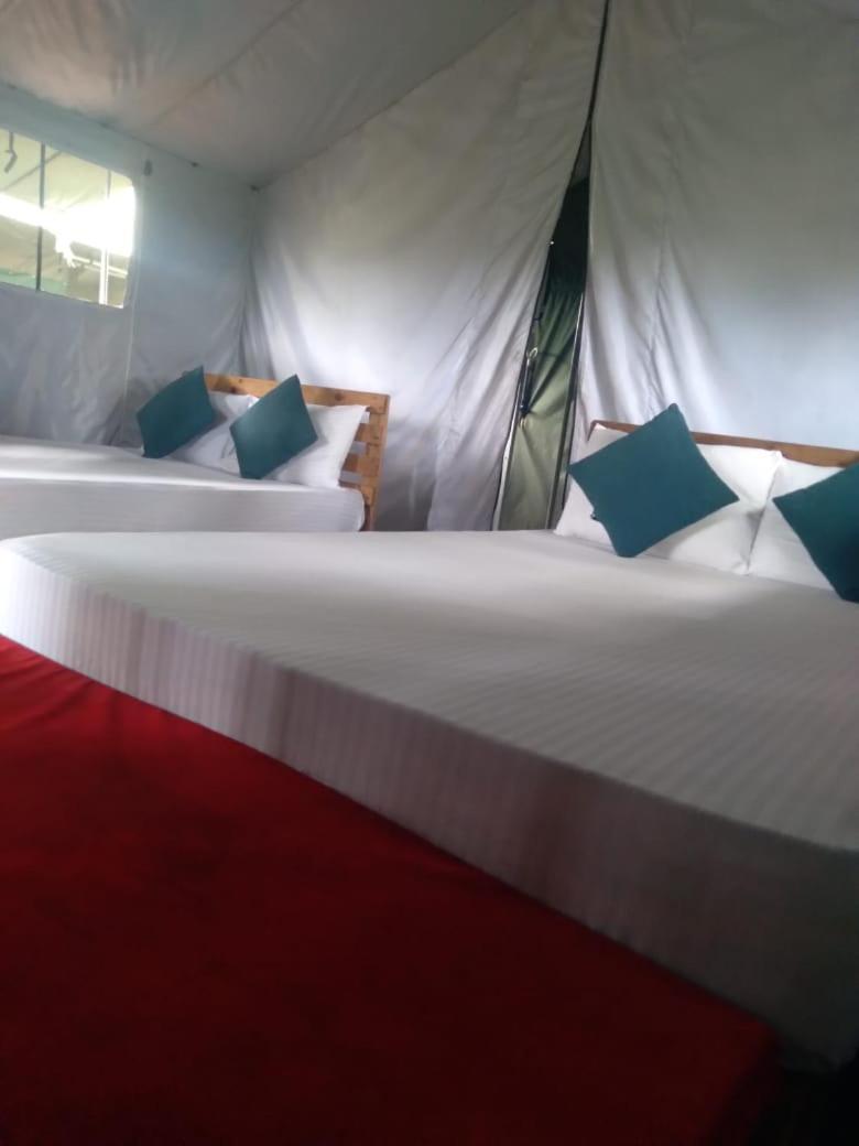 Отель Ella Glamping Экстерьер фото