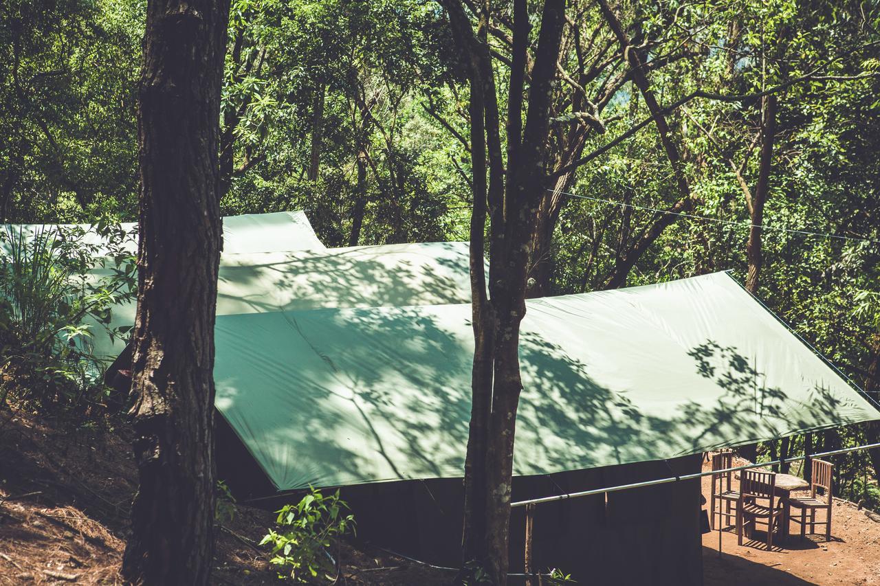 Отель Ella Glamping Экстерьер фото