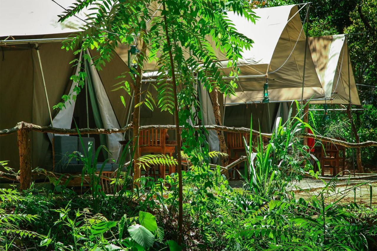 Отель Ella Glamping Экстерьер фото