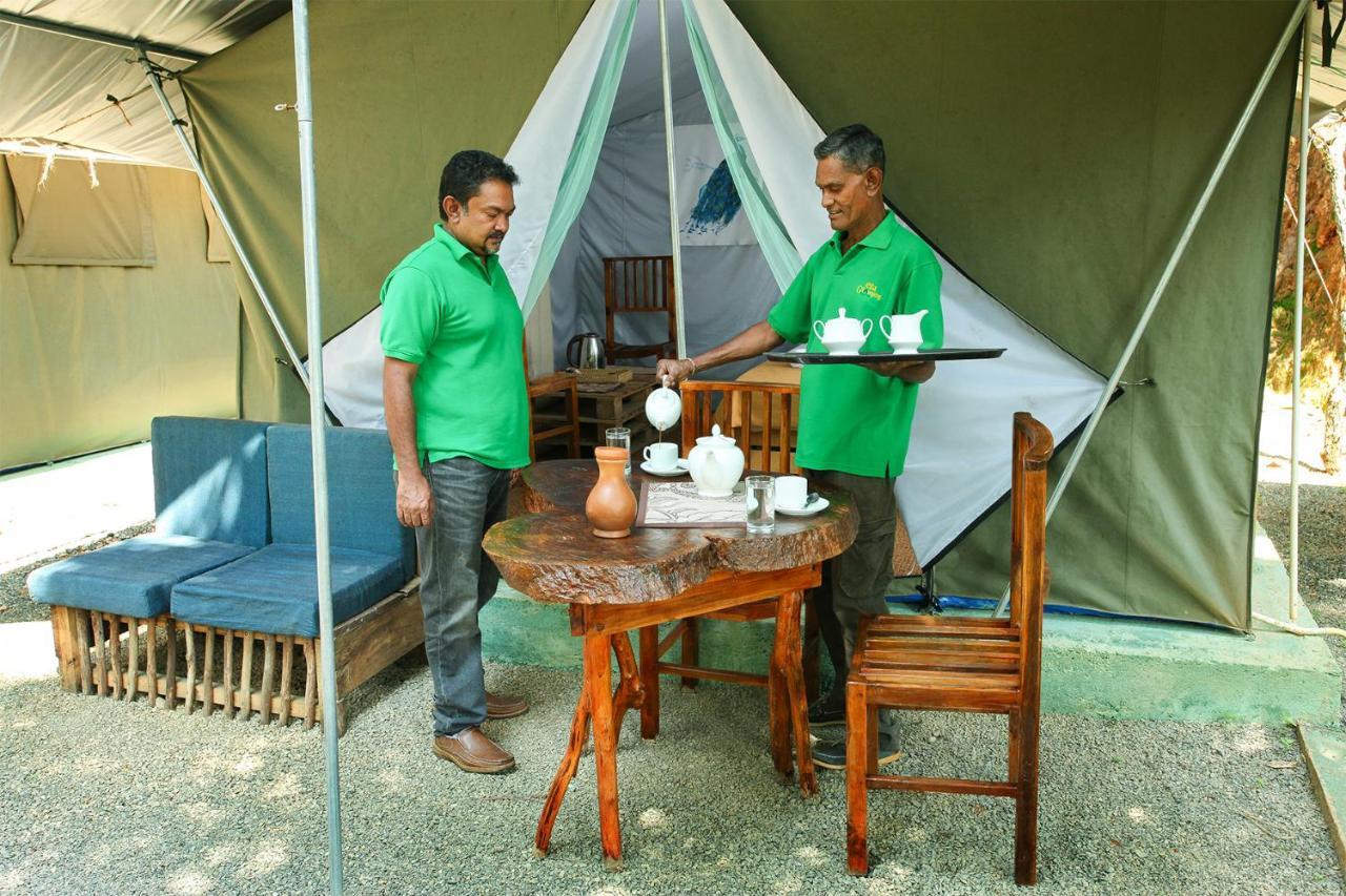 Отель Ella Glamping Экстерьер фото